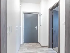 Prodej bytu 1+kk, Heřmanova Huť, U Pondu, 35 m2