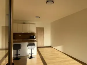 Pronájem bytu 1+kk, Slaný, Lázeňská, 35 m2