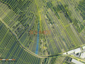 Prodej sadu/vinice, Kobylí, 1799 m2