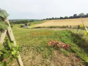 Prodej sadu/vinice, Kobylí, 1799 m2