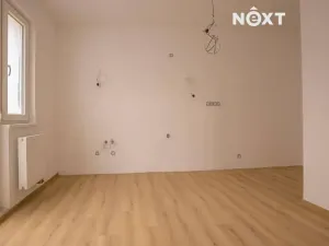 Pronájem bytu 1+kk, České Budějovice, K. Weise, 44 m2