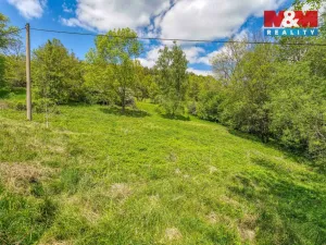 Prodej zahrady, Sušice - Nuzerov, 7751 m2