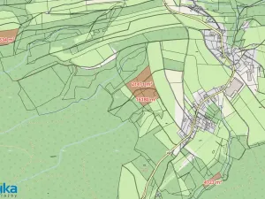 Prodej lesa, Strážná, 58908 m2