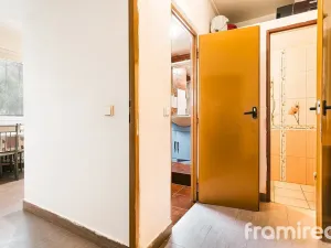 Prodej bytu 2+kk, Brno, Renneská třída, 58 m2