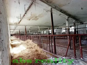 Prodej zemědělského objektu, Dolní Chvatliny, 1691 m2