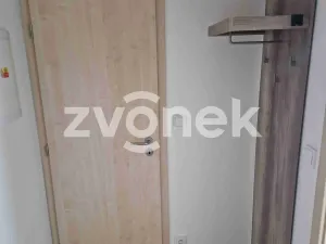 Pronájem bytu 1+kk, Uherské Hradiště, 30 m2