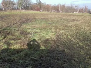 Prodej pozemku pro bydlení, Lázně Toušeň, Na panském, 800 m2