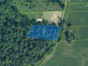 Dražba lesa, Zavlekov, 1331 m2