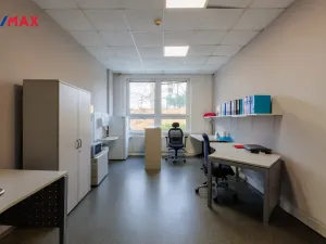 Pronájem výrobních prostor, Chodová Planá, Kyjovská, 1300 m2