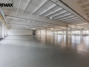 Pronájem výrobních prostor, Chodová Planá, Kyjovská, 1300 m2