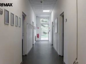 Pronájem výrobních prostor, Chodová Planá, Kyjovská, 1300 m2