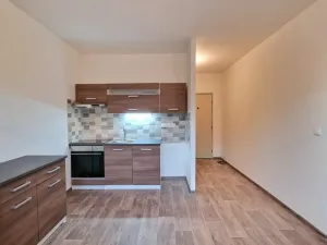 Prodej bytu 1+1, Chlumec, Tuchomyšlská, 38 m2