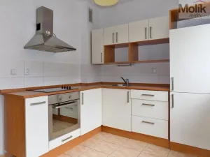 Pronájem bytu 1+1, Most, Žatecká, 35 m2