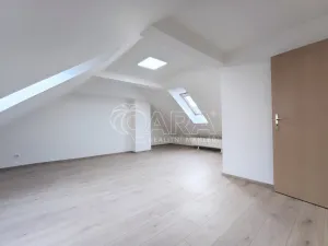 Pronájem bytu 2+1, Praha - Michle, Hanusova, 69 m2