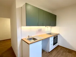 Pronájem bytu 2+1, Cheb, 17. listopadu, 54 m2