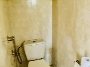 Prodej rodinného domu, Ostrožská Lhota, 130 m2