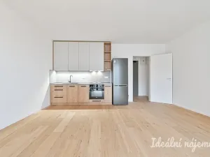 Pronájem bytu 1+kk, Brno, Bratislavská, 35 m2