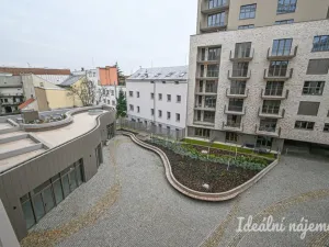 Pronájem bytu 1+kk, Brno, Bratislavská, 35 m2