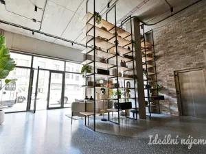 Pronájem bytu 1+kk, Brno, Bratislavská, 35 m2