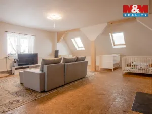 Prodej rodinného domu, Nové Město pod Smrkem - Ludvíkov pod Smrkem, 380 m2