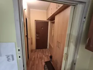 Prodej bytu 1+1, Plesná, Kostelní, 35 m2