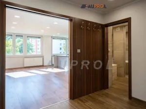 Prodej bytu 3+kk, Praha - Karlín, Molákova, 71 m2