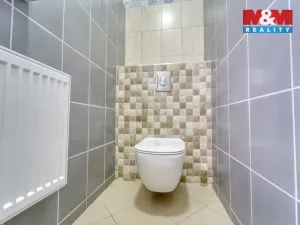 Prodej obchodního prostoru, Stružná, 216 m2