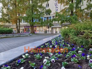 Pronájem obchodního prostoru, Havířov - Město, nám. Republiky, 72 m2