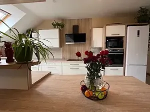 Pronájem bytu 4+kk, Chodov, Bezručova, 133 m2