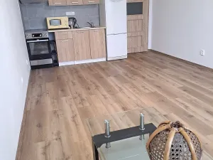 Pronájem bytu 1+kk, Hradec Králové, Jana Masaryka, 35 m2