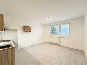 Pronájem bytu 1+1, Jablonec nad Nisou, Vysoká, 42 m2