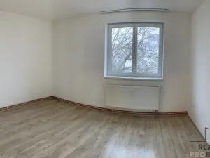 Pronájem bytu 3+kk, Ledenice, Náměstí, 70 m2