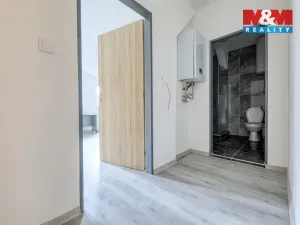 Prodej rodinného domu, Konstantinovy Lázně, Růžová, 767 m2