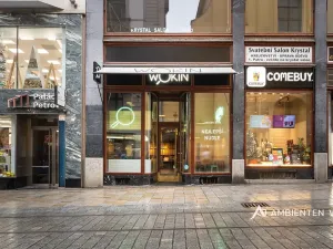 Prodej obchodního prostoru, Brno, Masarykova, 494 m2