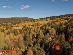 Prodej chalupy, Říčky v Orlických horách, 65 m2