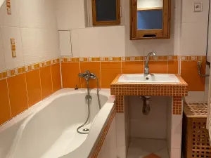 Prodej bytu 2+kk, Praha - Michle, Vnější, 55 m2