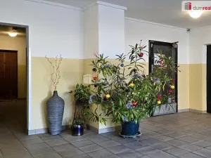 Prodej bytu 2+1, Neratovice, Kojetická, 52 m2