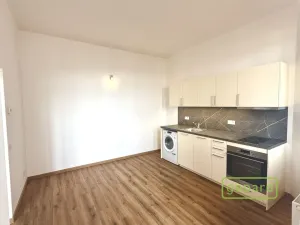 Pronájem bytu 3+kk, Praha - Žižkov, Vlkova, 56 m2