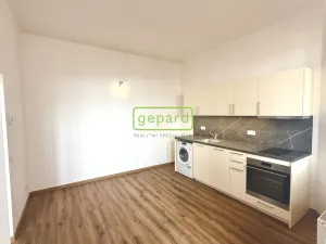 Pronájem bytu 3+kk, Praha - Žižkov, Vlkova, 56 m2