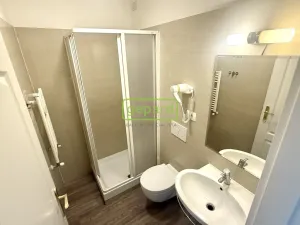 Pronájem bytu 2+kk, Praha - Žižkov, Vlkova, 35 m2