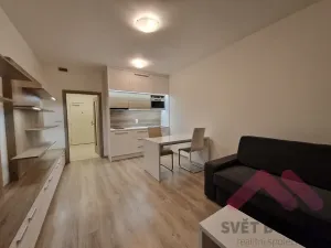Pronájem bytu 1+kk, Praha - Vršovice, Novgorodská, 31 m2