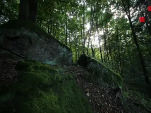 Prodej rodinného domu, Liberec - Liberec XIV-Ruprechtice, Dračí, 153 m2