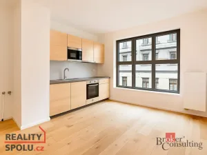 Pronájem bytu 1+kk, Brno - Zábrdovice, Bratislavská, 23 m2