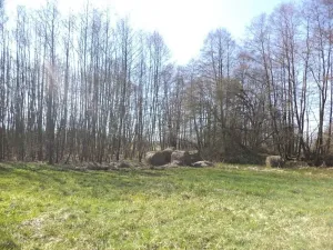 Dražba louky, Dolní Pěna, 4291 m2