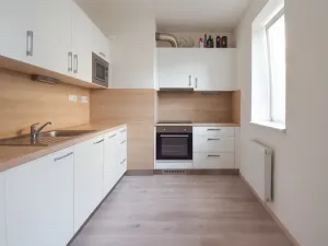 Prodej bytu 1+kk, Brno - Žebětín, Žabí, 32 m2