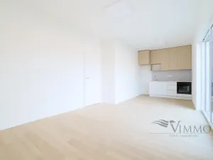 Pronájem bytu 2+kk, Litvínovice, Boční, 62 m2