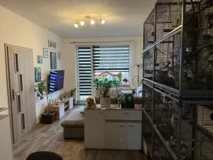 Prodej bytu 3+1, Žatec, Hájkova, 61 m2