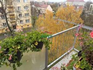 Prodej bytu 3+1, Žatec, Hájkova, 61 m2