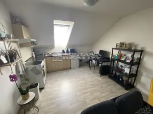 Pronájem bytu 2+kk, Ústín, 50 m2