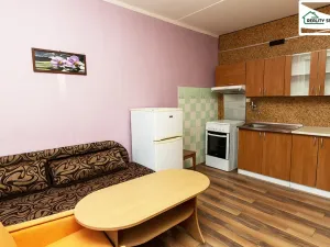 Prodej bytu 1+kk, Cheb, Nová, 19 m2